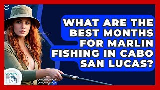 What Are The Best Months For Marlin Fishing In Cabo San Lucas? - Chasing Big Fish Best Time Of Year To Fish In Cabo San Lucas
