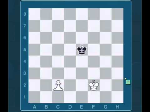 King and Pawn (B-G files) vs King endgame training