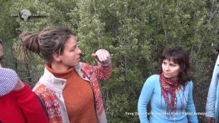 Yuva Doğa Evi Kompleksi Alakır Vadisi Antalya