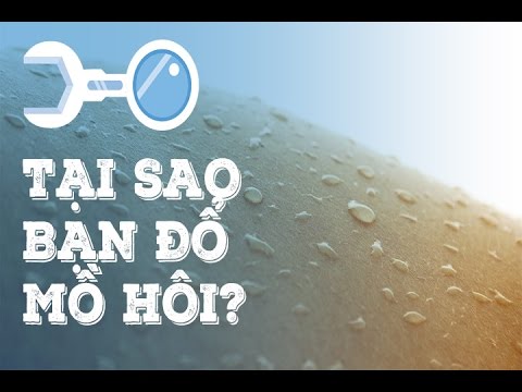 Tại sao con người đổ mồ hôi ?