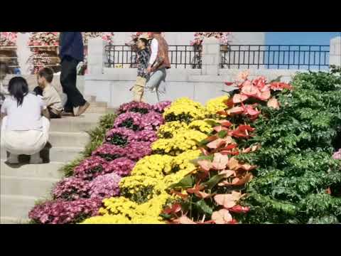 人民英雄纪念碑前，布置了许多鲜花，许多市民前来祭奠英雄。