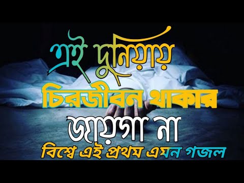 ভিডিও: থাকার সেরা জায়গা