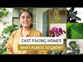 Plants for East Facing Areas | Garden Up Basics Ep.38