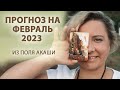 Акаши-прогноз на февраль 2023 / Что ждать в этом месяце?