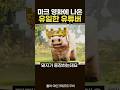 마크 영화에 나온 유일한 유튜버 마크 영화에 나온 유일한 유튜버