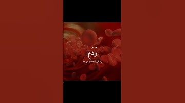 وَإِنَّ لَكُم فِي الأَنعامِ لَعِبرَةً | ما تيسر من سورة النحل | القارئ أحمد الشافعي | تلاوة خاشعه