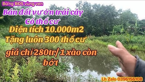 gia đình anh chị 7 cần chuyển nhượng lại mảnh đất vườn trái cây giá rẻ tặng luôn 300m thổ cư 
