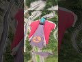 The heart has no boundaries, that is freedom. Zhang Shupeng breaks paragliding world record.