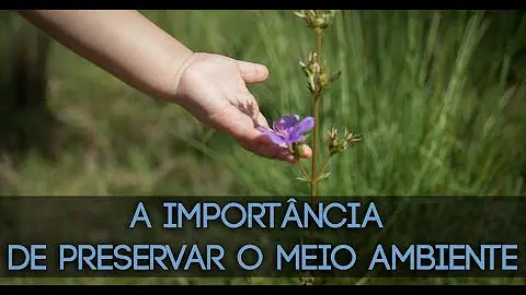 Qual é o papel do ser humano no meio ambiente?