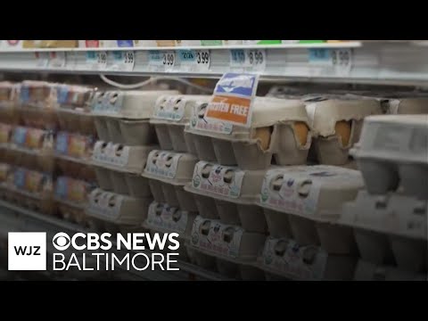 Thanksgiving meals to cost significantly more due to tariffs pushing up prices