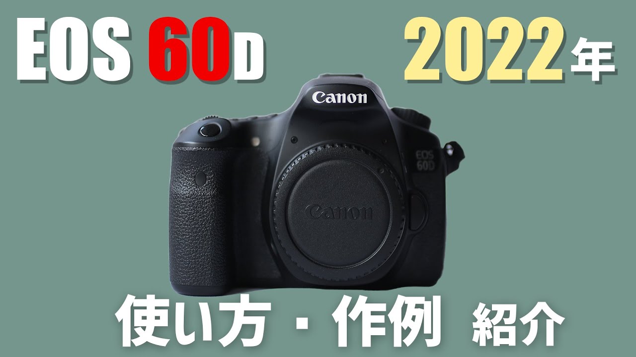 【使い方・作例紹介】EOS 60Dは3万円で買える高コスパ機！ おすすめAPS-Cカメラ！