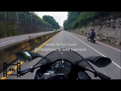 Feel the Adrenaline