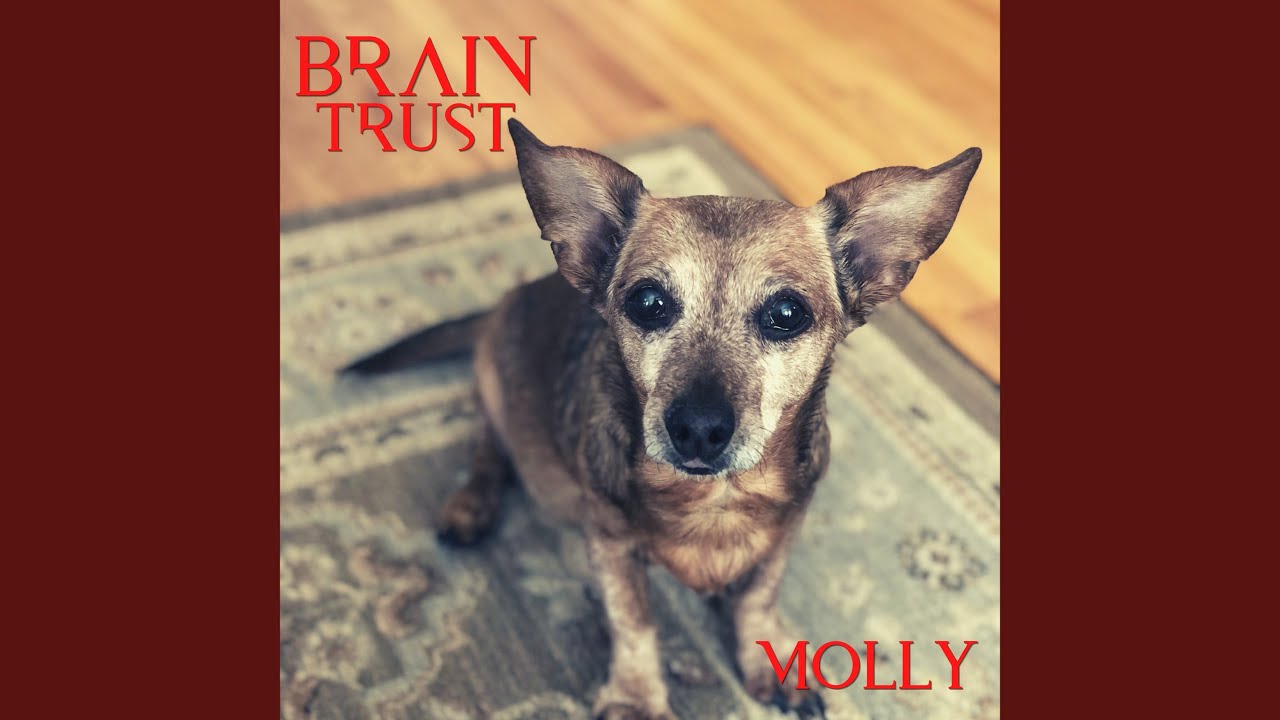 Watch Molly on YouTube Watch Molly on YouTube