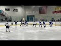 Video: Skaneateles takes on Whitesboro in hockey semifinal