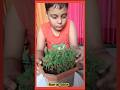 🪴How to grow chana plant 🪴#edit#plant#🪴