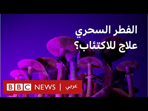 فيديو: هل تأكل فطر الربيع؟