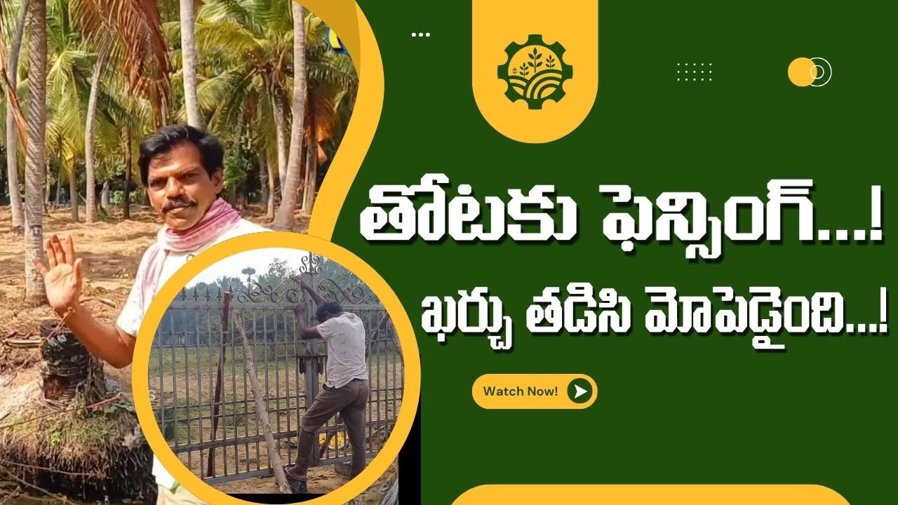 ఎన్ని కష్టాలు పడ్డా... ఈసారి మా తోట పండ్లు పండించబోతోంది! #godavarivibes