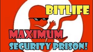 Bitlife 8x8 maximum security prison escape