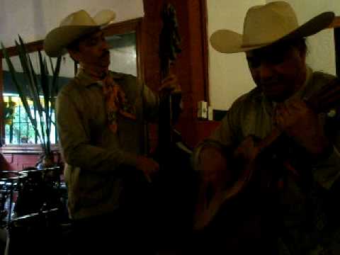 EL MARIACHI LOCO QUIERE BAILAR JUAN JOSE BRIONES Q...