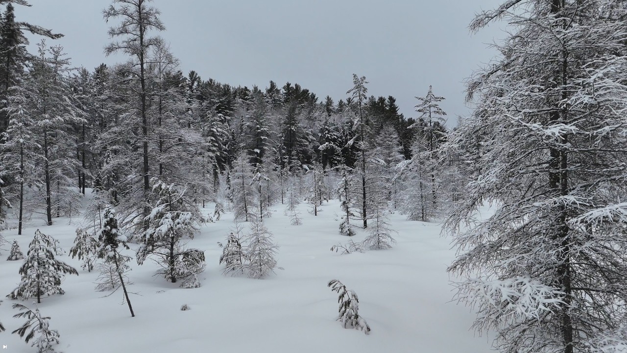 The White Wilderness｜DJI Mini 4 Pro｜Cinematic Winter Movie