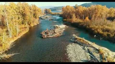 4K Drone Footage Adams River B.C Salmon Run Oct 21 2018