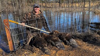 Beavers washed out the gravel road. Why I have to trap the beaver.