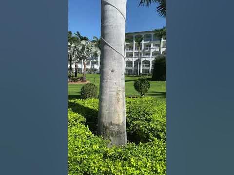 Vista 360 Hotel Riu Palace, Guanacaste Costa Rica #costaricapuravida #