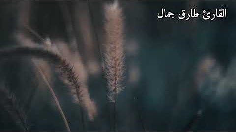 تلاوة خاشعة ومؤثرة ، ويا قوم مالي ادعوكم إلى النجاة وتدعونني إلي النار