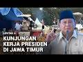 Maraton Kunker di Jatim, Prabowo Pimpin Panen Raya & Resmikan Koperasi Desa | Liputan 6