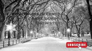     📸 “POV: You’re in Central Park During a Snowstorm ❄️” 2026