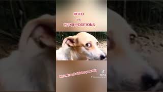 RUTO VS HIS OPPOSITIONS 👋 🤣🤣🤣🏃‍♂️🇰🇪👏