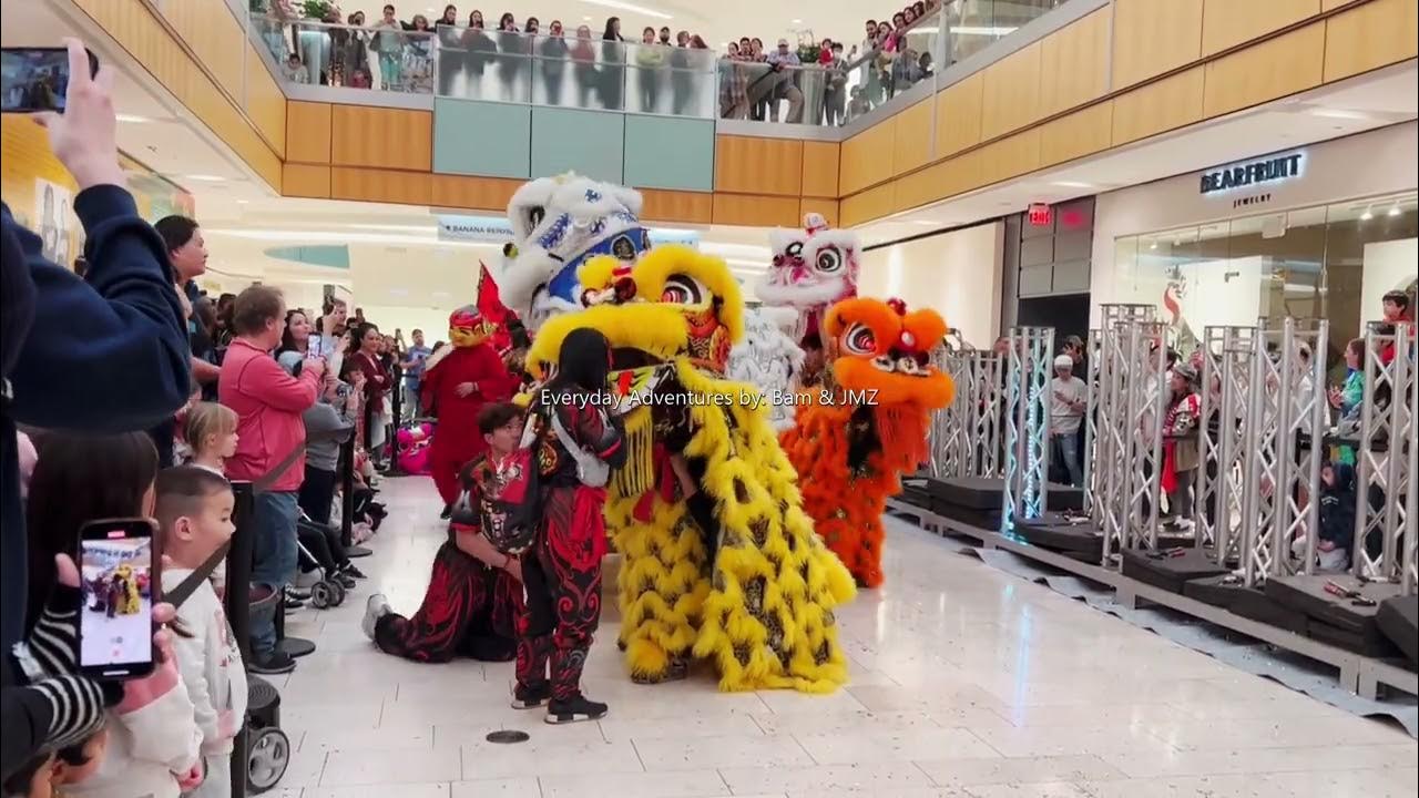 ut dallas chinese new year
