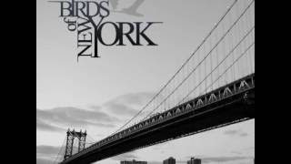 Video thumbnail of "Birds of New York - Incandescent World"