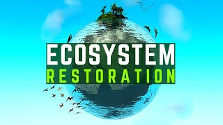 Celebrity Why Ecosystem Restoration Matters: Saving Our Planet's Future Profile