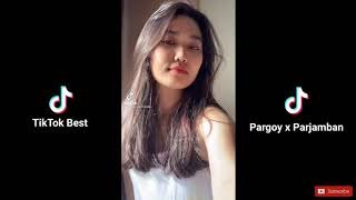 Kumpulan TikTok Viral 2021| Goyang Pargoy x Parjamban | Part 1 #Tiktokbest