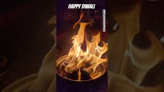 Happy Diwali ?? 2023 viral trending shorts indianfestival diwali2023 happydiwali happylife