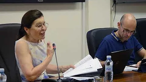 Feminist Legacy in Legal Theory and Practice - Round Table III | Feminist Perspective on Gender