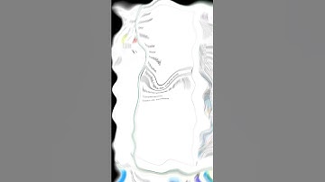 How to enable the developer tab in Excel