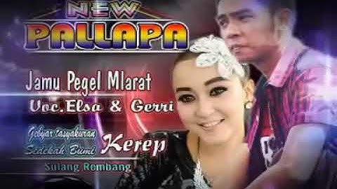 NEW PALAPA- JAMU PEGEL MLARAT "GERY FEAT RENA KDI"