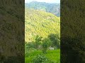 Beautiful Silgadhi