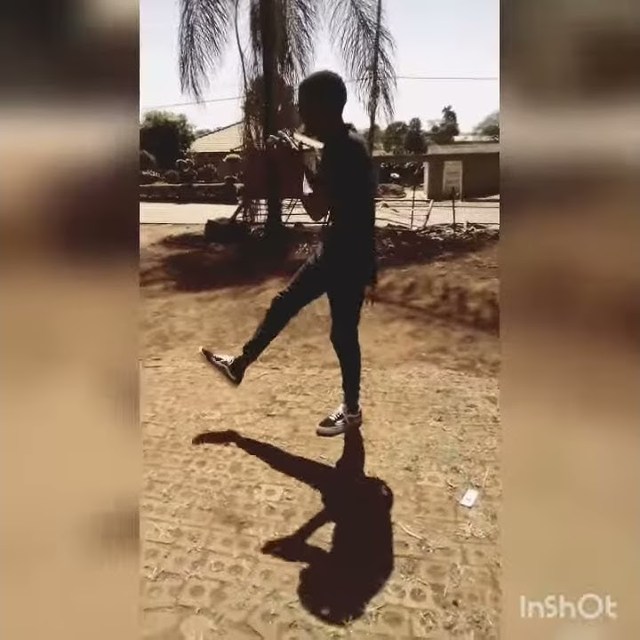 Sho Madjozi Huku (danceVersion)