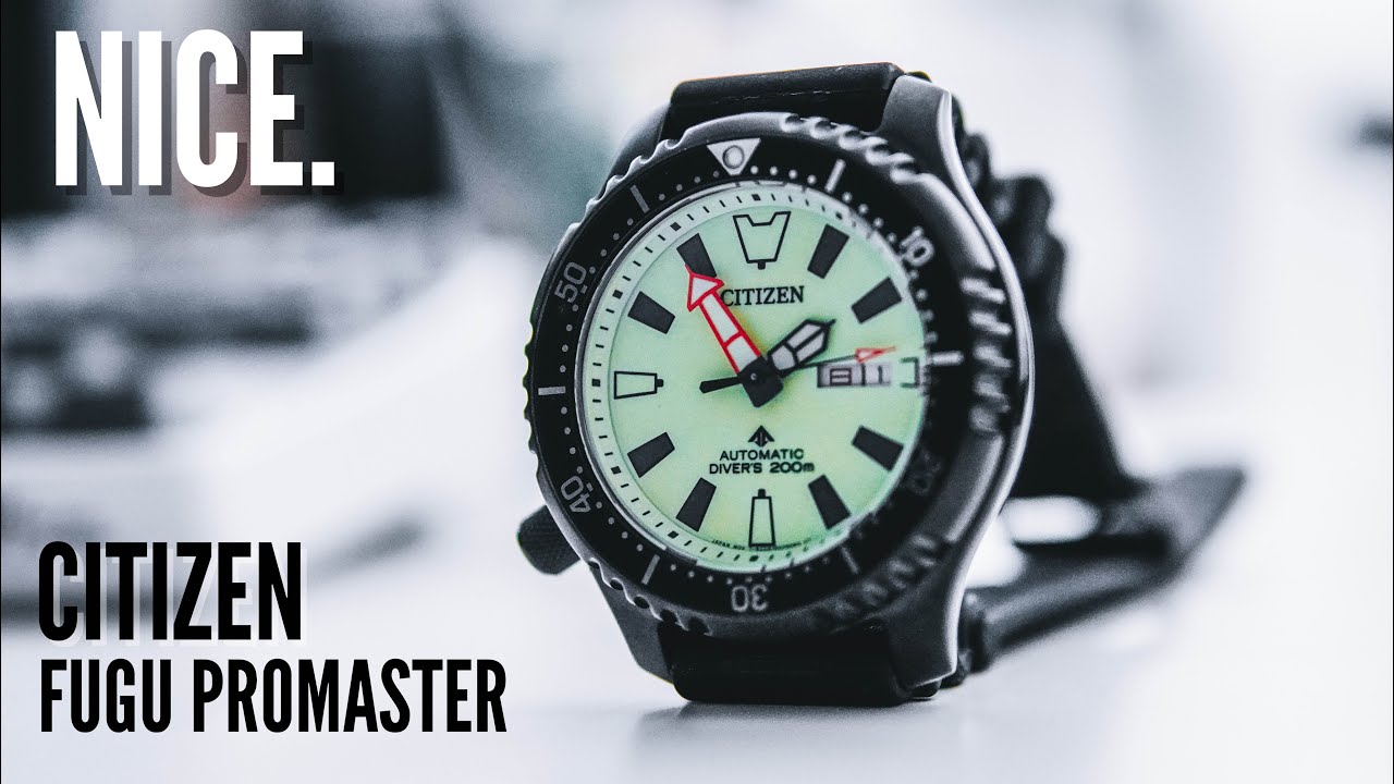 Going BACK To Traditional Watch? Citizen FUGU Promaster Limited Edition! -  YouTube