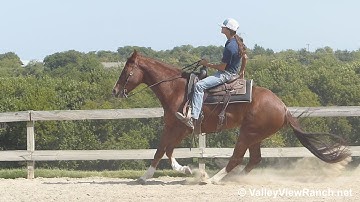 Peptos Stylin - mount, neck rein, big stops, spins! - ValleyViewRanch.net
