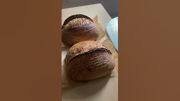 Open crumb sourdough #shorts