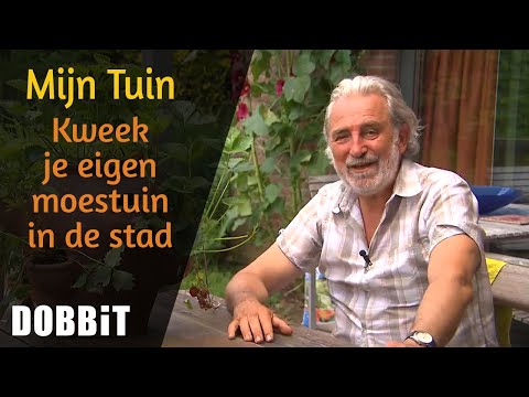 Video: Wat Kan In Junie In Die Land Geplant Word: Plante Vir Die Tuin, Groentetuin En Blomtuin