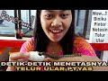 DETIK-DETIK MENETASNYA TELUR ULAR