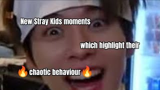 New Stray Kids moments which highlight their chaotic behaviour 🔥 (mostly from their fan meet)
