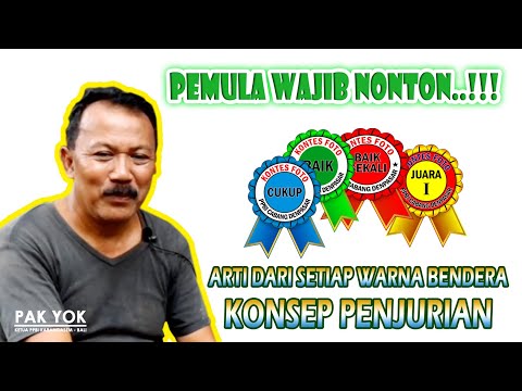 Video: Apa arti pita biru di pohon?