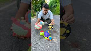 Amr Remote Wala 2 Ta Turtle and Parrot Unboxing☺️#shorts
