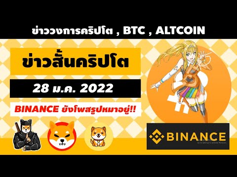 อเมริกาจะออกกฎควบคุมคริปโต!! Binance โพสรูปหมาอีก!! Bitget จะลิสต์ BABYDOGE , ข่าวชิบะและชินจา!!